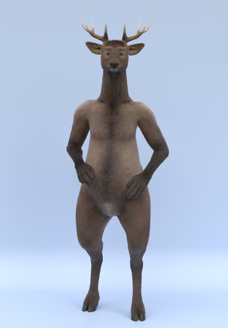Wapiti Deer 3d model preview image 1